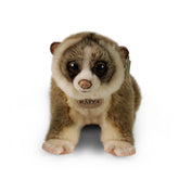 Rappa - Loris paresseux en peluche 27 cm ÉCO-RESPONSABLE - Animaux en peluche